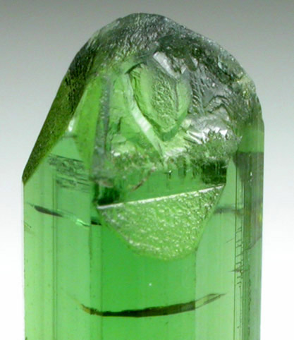 Elbaite Tourmaline from Santa Rosa Mine, Itambacuri, Minas Gerais, Brazil