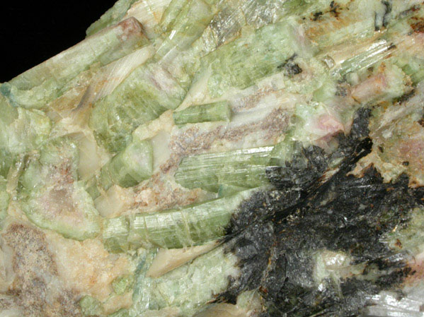 Elbaite Tourmaline in Albite from Mount Mica Quarry, Paris, Oxford County, Maine