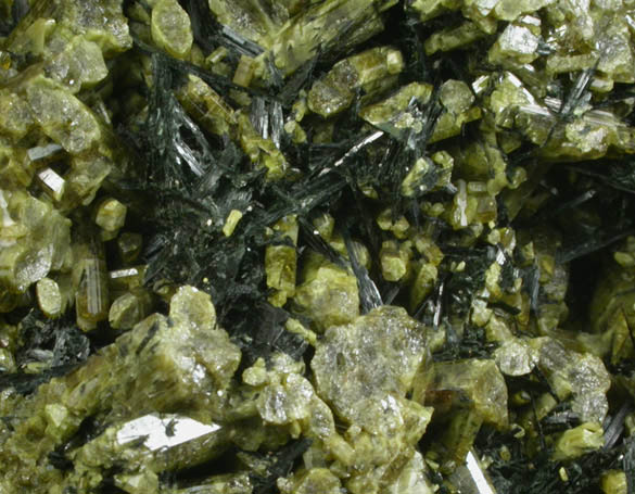 Epidote with Hornblende from Warren, Grafton County, New Hampshire