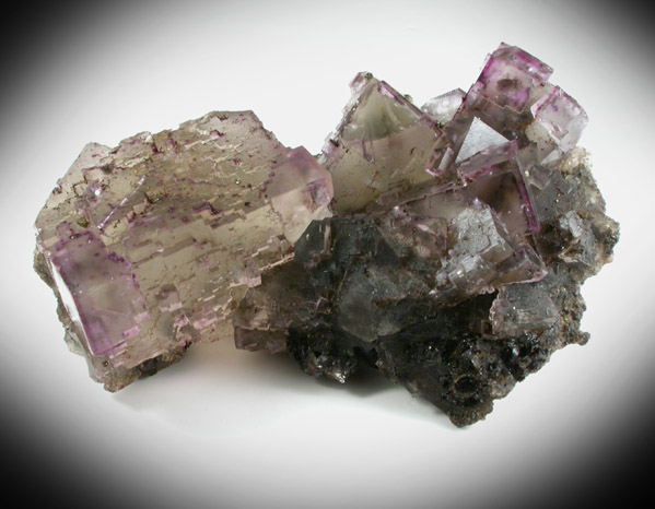 Fluorite with Chalcopyrite on Sphalerite from Cave-in-Rock District, Hardin County, Illinois