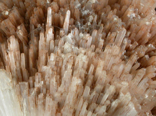 Natrolite from Pinnacle Island, Nova Scotia, Canada