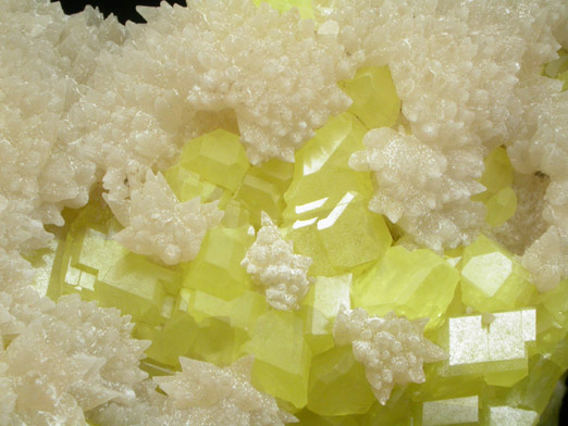 Sulfur and Calcite from Agrigento District (Girgenti), Sicily, Italy