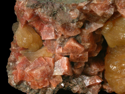 Stilbite-Ca with Chabazite-Ca from Francisco Brothers Quarry, Great Notch, Passaic County, New Jersey