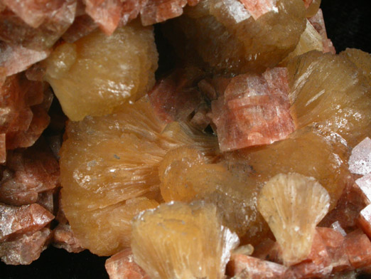 Stilbite-Ca with Chabazite-Ca from Francisco Brothers Quarry, Great Notch, Passaic County, New Jersey