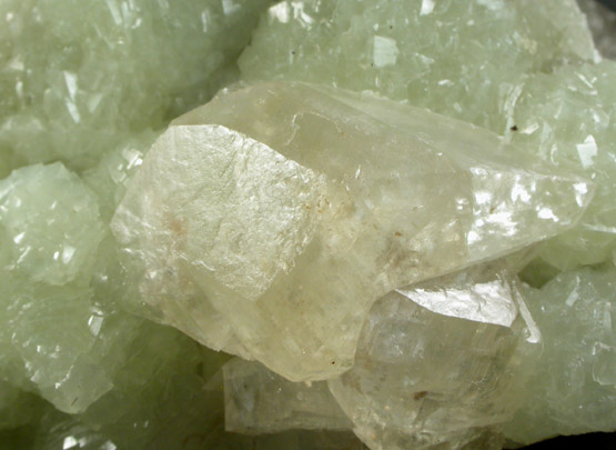 Calcite on Prehnite from Braen's Quarry, Hawthorne, Passaic County, New Jersey