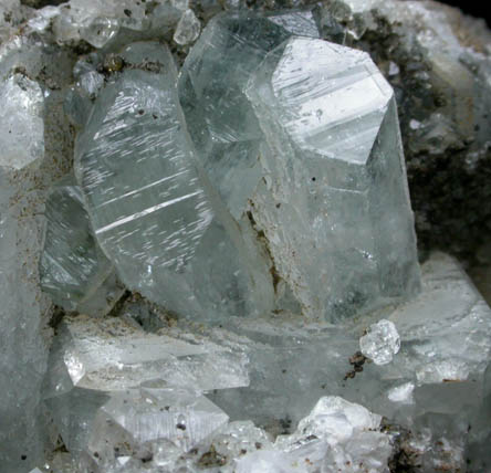 Apophyllite with Chamosite and Datolite from Millington Quarry, Bernards Township, Somerset County, New Jersey