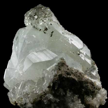 Apophyllite with Chamosite and Datolite from Millington Quarry, Bernards Township, Somerset County, New Jersey