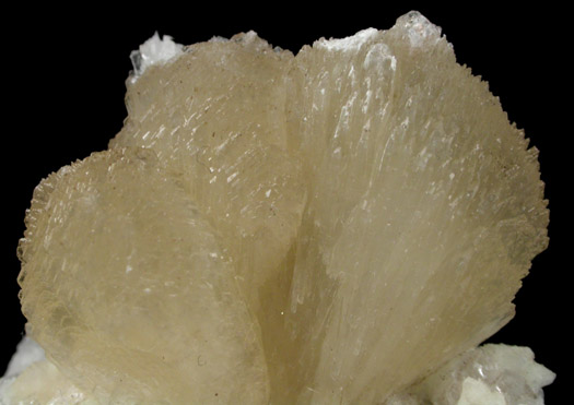 Stilbite-Ca with Calcite from Upper New Street Quarry, Paterson, Passaic County, New Jersey