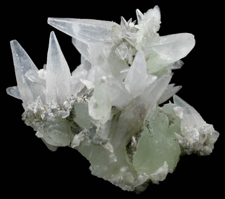 Calcite on Prehnite from Millington Quarry, Bernards Township, Somerset County, New Jersey