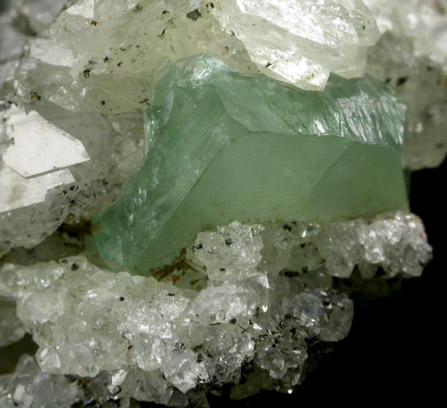 Apophyllite on Datolite with Chamosite from Millington Quarry, Bernards Township, Somerset County, New Jersey