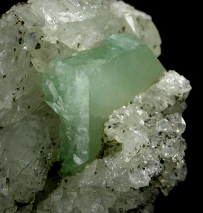 Apophyllite on Datolite with Chamosite from Millington Quarry, Bernards Township, Somerset County, New Jersey