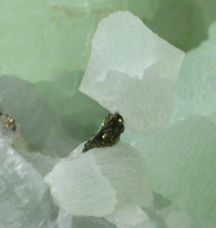 Prehnite on Pyrite on Prehnite from Millington Quarry, Bernards Township, Somerset County, New Jersey