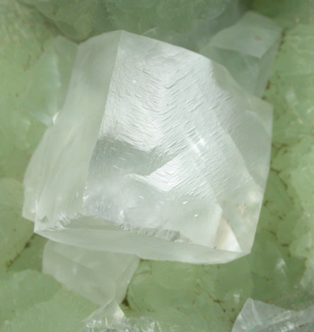 Calcite on Prehnite from Millington Quarry, Bernards Township, Somerset County, New Jersey