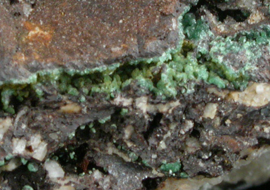 Chalcosiderite on Goethite from Wheal Phoenix, Stowes Section, Liskeard District, Cornwall, England (Type Locality for Chalcosiderite)