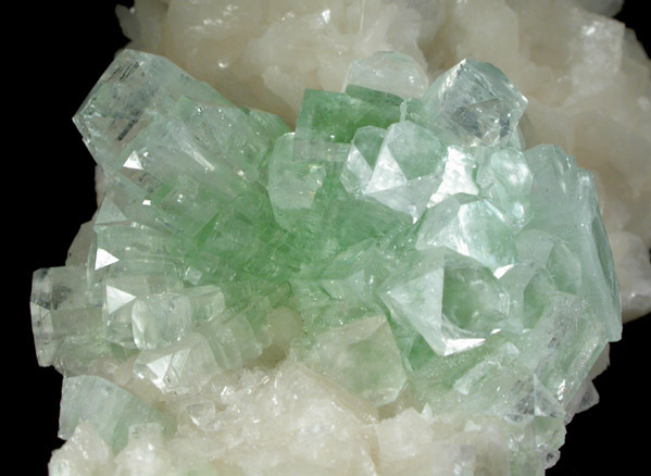 Apophyllite on Stilbite-Ca from Momin Akhada, near Rahuri, 50 km north of Ahmednagar, Maharashtra, India (Type Locality for Collected ca. 2001)