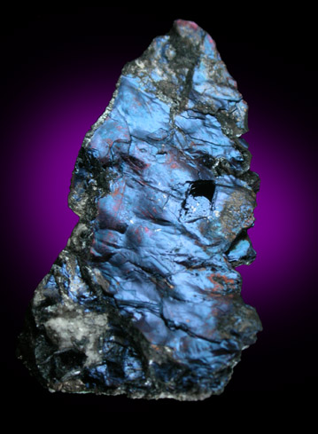 Covellite with Pyrite from Leonard Mine, 3600' level, Butte Mining District, Summit Valley, Silver Bow County, Montana