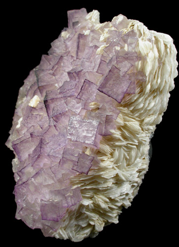 Fluorite on Barite from Caldwell Stone Quarry, Danville, Boyle County, Kentucky