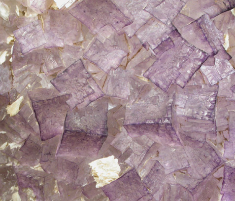 Fluorite on Barite from Caldwell Stone Quarry, Danville, Boyle County, Kentucky