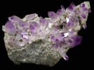 Quartz var. Amethyst Quartz from Piedra Parada, near Las Vigas, Tatatila, Veracruz, Mexico