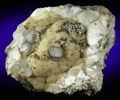 Apophyllite, Pyrite, Goethite on Pectolite from Millington Quarry, Bernards Township, Somerset County, New Jersey