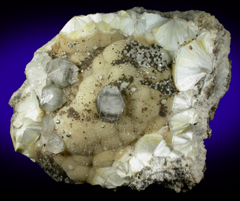 Apophyllite, Pyrite, Goethite on Pectolite from Millington Quarry, Bernards Township, Somerset County, New Jersey