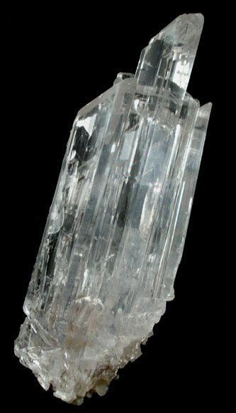 Gypsum var. Selenite from Naica District, Saucillo, Chihuahua, Mexico