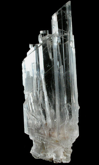 Gypsum var. Selenite from Naica District, Saucillo, Chihuahua, Mexico