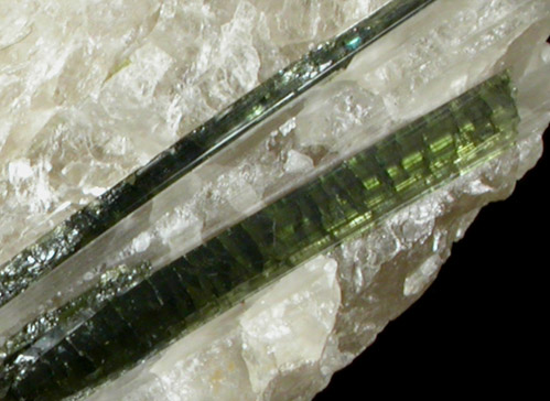 Elbaite Tourmaline in Quartz with Albite from Strickland Quarry, Collins Hill, Portland, Middlesex County, Connecticut