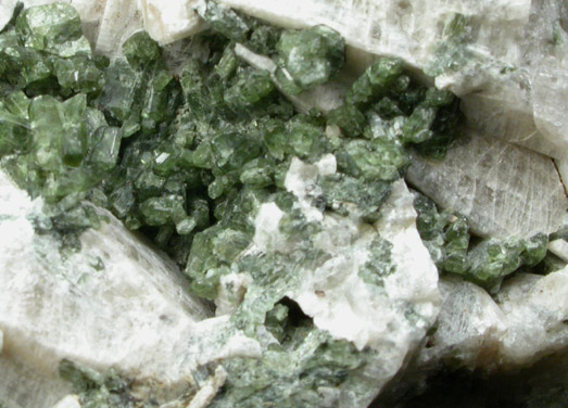 Meionite and Diopside with Titanite from Berry's Ledge, Cornish, York County, Maine