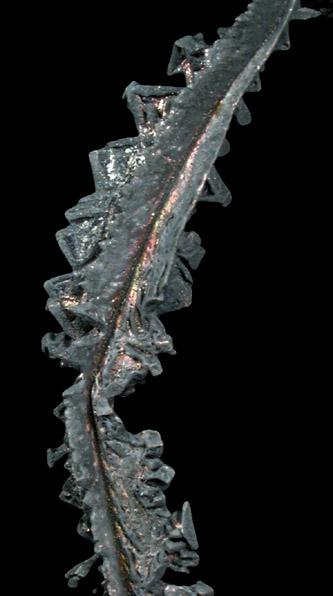 Silver from Elura Mine, Cobar, New South Wales, Australia