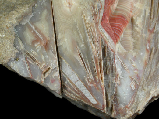 Quartz var. Banded Agate with casts after Anhydrite from Prospect Park Quarry, Prospect Park, Passaic County, New Jersey