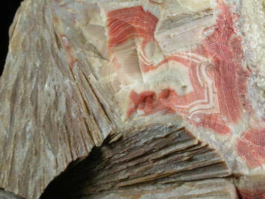 Quartz var. Banded Agate with casts after Anhydrite from Prospect Park Quarry, Prospect Park, Passaic County, New Jersey