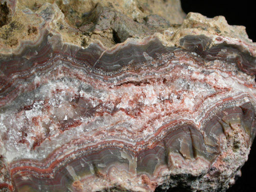 Quartz var. Banded Agate from Braen's Quarry, Hawthorne, Passaic County, New Jersey