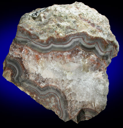 Quartz var. Banded Agate from Braen's Quarry, Hawthorne, Passaic County, New Jersey