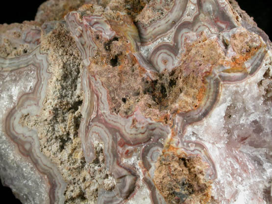 Quartz var. Banded Agate with Amethyst Quartz from Braen's Quarry, Hawthorne, Passaic County, New Jersey