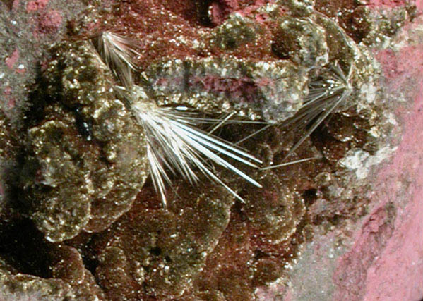 Millerite on Stilpnomelane from Sterling Mine, Antwerp, Jefferson County, New York