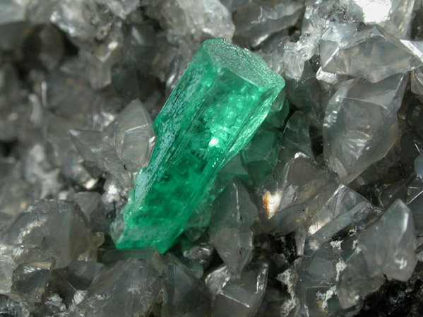 Beryl var. Emerald in Calcite from Polveros Mine, Vasquez-Yacop District, Boyaca, Colombia