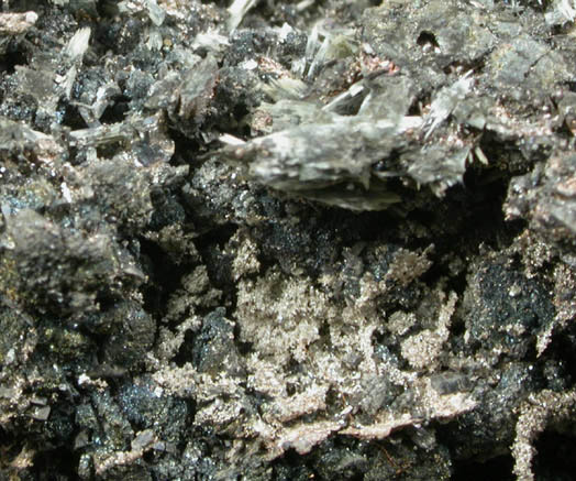 Silver with Amphibole from Langis Mine, Cobalt, Ontario, Canada