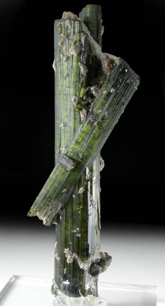 Elbaite Tourmaline from Itatiaia Mine, Conselheiro Pea, Doce valley, Minas Gerais, Brazil