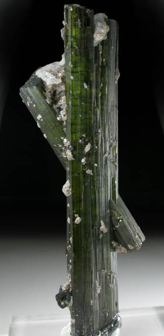 Elbaite Tourmaline from Itatiaia Mine, Conselheiro Pea, Doce valley, Minas Gerais, Brazil