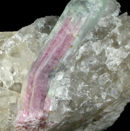 Elbaite var. Watermelon Tourmaline in Quartz from Berry-Havey Quarry, Poland, Androscoggin County, Maine