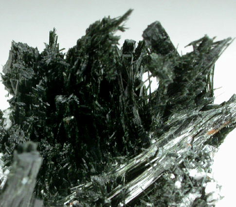 Actinolite from Goshen Stone Co. Quarry, Goshen, Hampshire County, Massachusetts