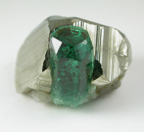 Beryl var. Emerald in Pyrite from Chivor Mine, Guavi-Guateque District, Boyac Department, Colombia