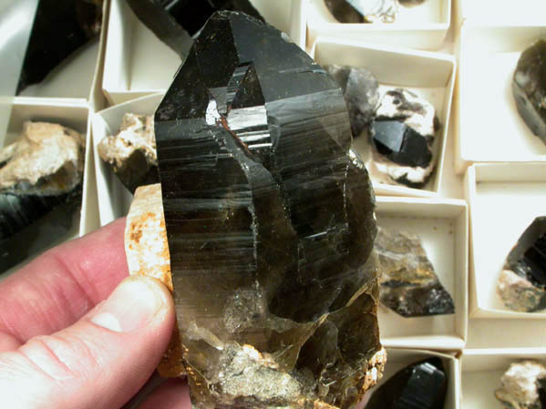 Quartz var. Smoky Quartz (48 crystals from a single pocket) from Ossipee Gulch (Raccoon Gulch), Folsom Brook, Center Ossipee, Carroll County, New Hampshire