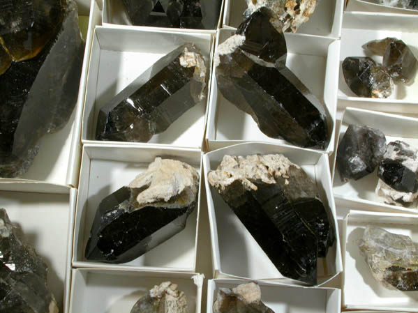 Quartz var. Smoky Quartz (48 crystals from a single pocket) from Ossipee Gulch (Raccoon Gulch), Folsom Brook, Center Ossipee, Carroll County, New Hampshire
