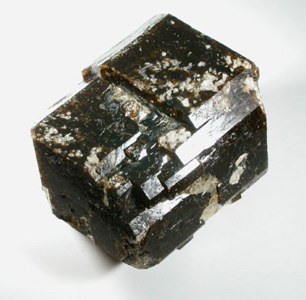 Dravite Tourmaline with Phlogopite from Yinnietharra Station, Pilbara, Western Australia, Australia