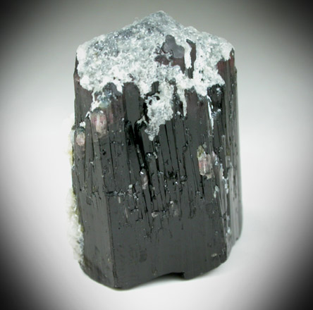 Elbaite-Schorl Tourmaline with Quartz from Mogok District, 115 km NNE of Mandalay, Mandalay Division, Myanmar (Burma)