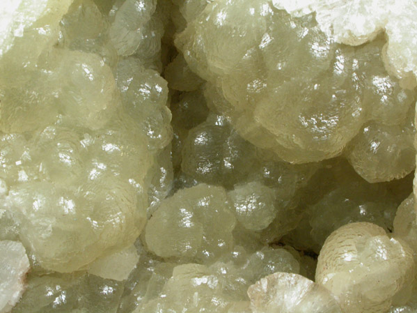 Prehnite from Loanhead Quarry, near Beith, Strathclyde, Scotland