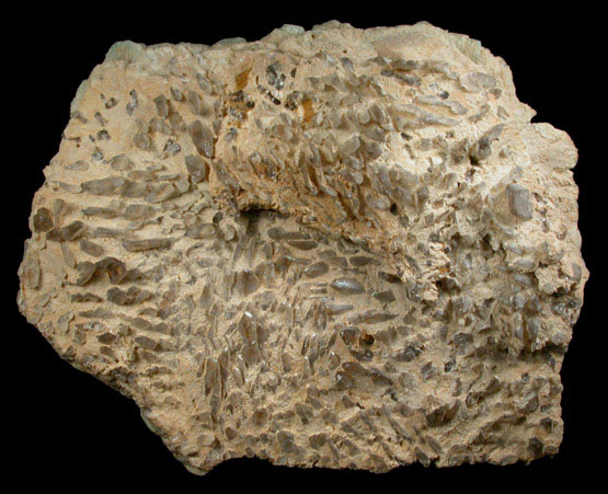 Microcline var. Amazonite from (Pike's Peak), (El Paso County), (Colorado)