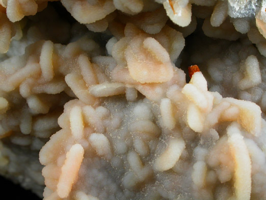 Wulfenite coated with drusy Quartz on Hemimorphite with Descloizite from Finch Mine (Barking Spider Mine), north of Hayden, Banner District, Gila County, Arizona